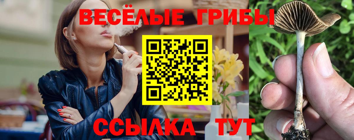 Галлюциногенные грибы мицелий Горно-Алтайск