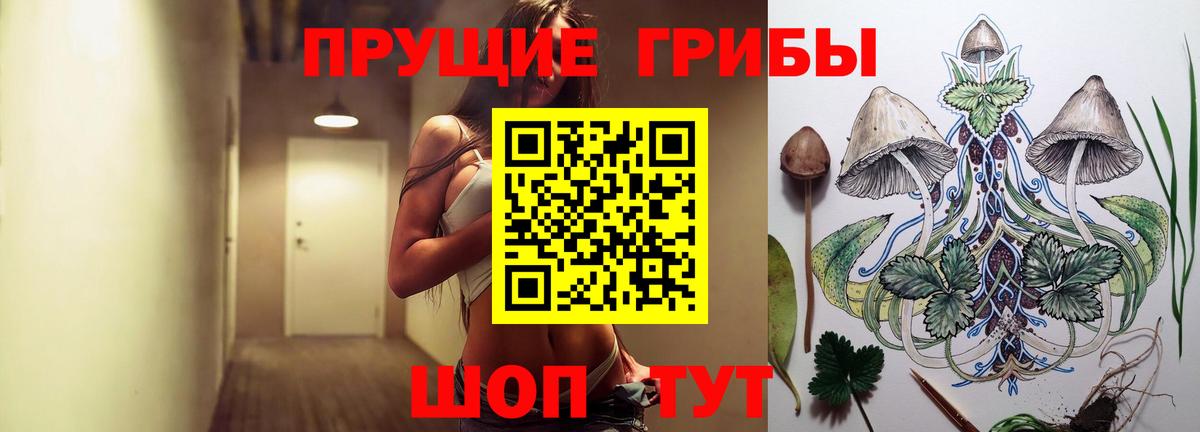 купить  цена  Псилоцибиновые грибы Cubensis  Вход с VPN  Горно-Алтайск  Галлюциногенные грибы ЛСД 